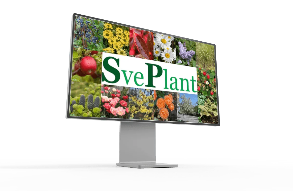 SvePlantInfo® växtdatabas med träd, buskar och perenner visad på skärm